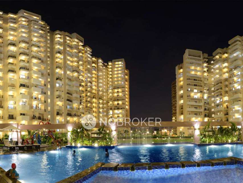 2 BHK Flat In Exotica Fresco for Rent  In Sector 137