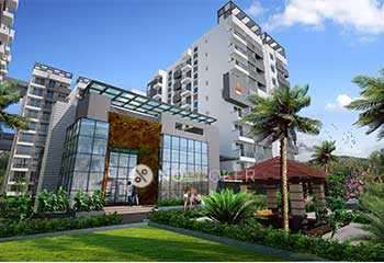 3 BHK Flat In Trifecta Retto for Rent  In Sarjapur Road