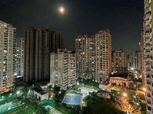 3 BHK Flat In Nimbus The Golden Palms For Sale  In Sector 168