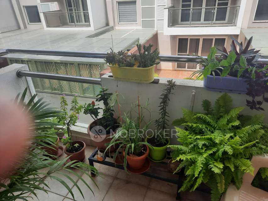 2 BHK Flat In Columbia Celestia Apartment, J. P. Nagar, Bengaluru For Sale  In J. P. Nagar, Bengaluru