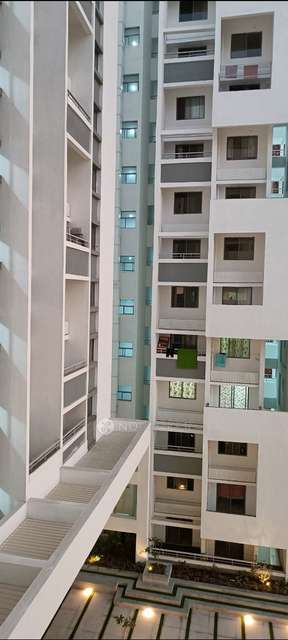 Single Room for Male In 2 BHK  In Rohan Prathama In Hinjawadi
