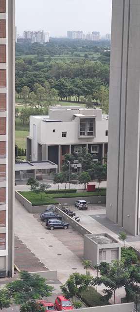 3 BHK Flat In Lodha Belmondo, Gahunje for Rent  In Gahunje