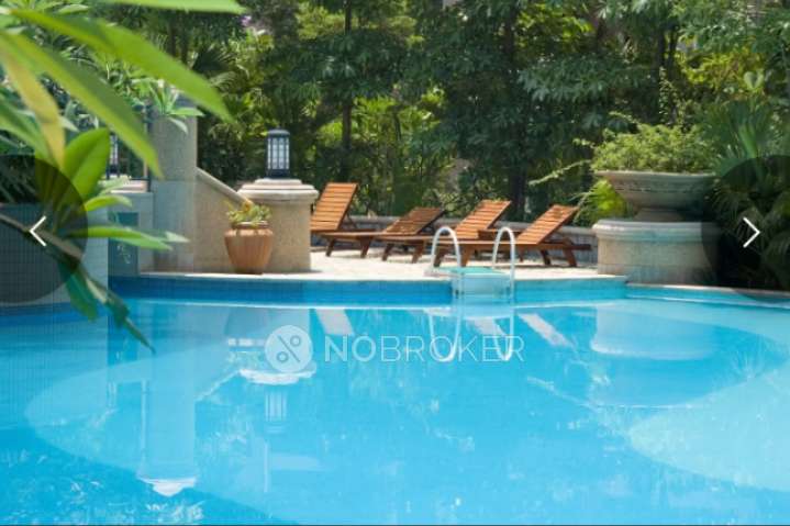 2 BHK Flat In Tereform Dwarka Ghatkopar East For Sale  In Terraform Dwarka