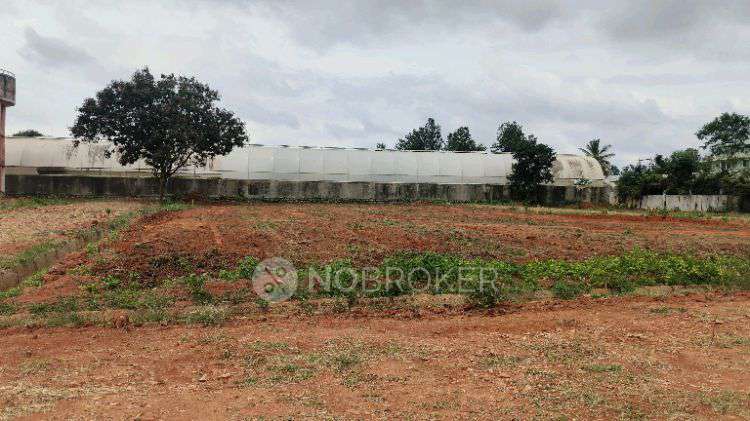 Plot For Sale  In Sr Garden  In Ivc Road