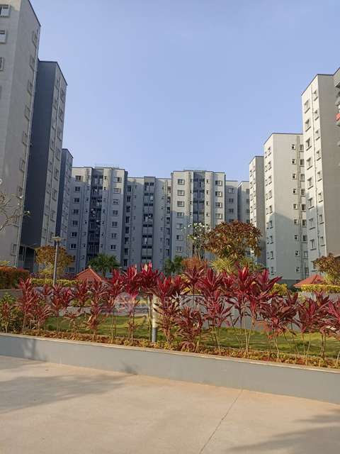2 BHK Flat In Bren Northern Lights for Rent  In Jakkur