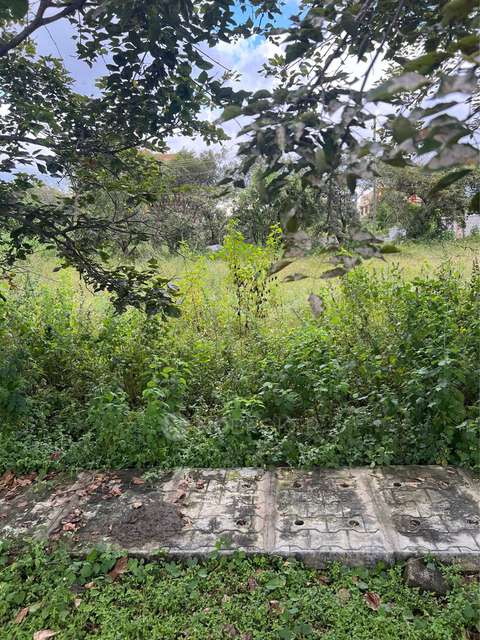 Plot For Sale  In Ramasandra