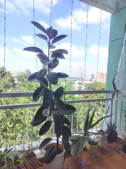 3 BHK Flat In Sjr Verity For Sale  In Kasavanahalli