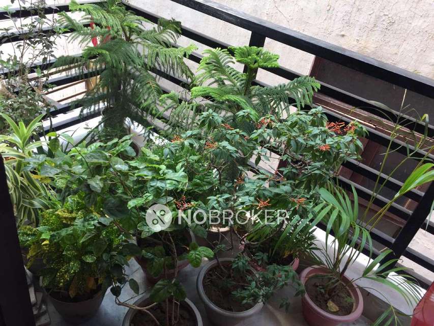 1 BHK Flat In Rwa Rangpuri Nallapar For Sale  In Rangpuri