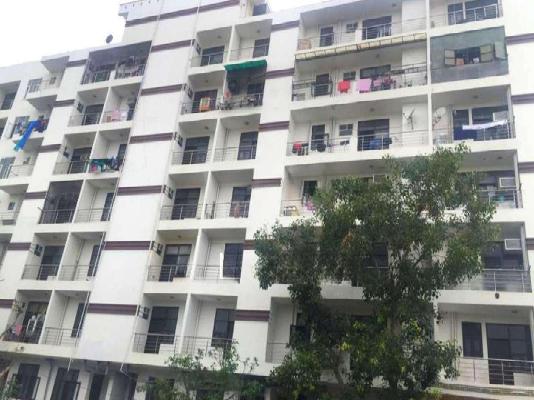 PG for Boys in Sector 73