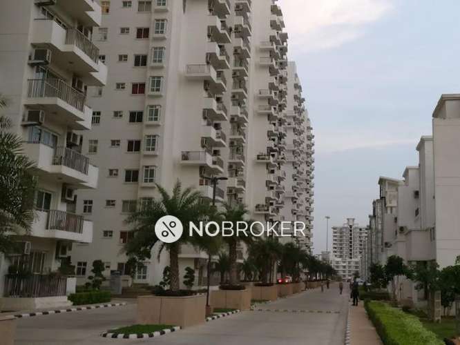 4 BHK Flat In Emaar Palm Terraces Select for Rent  In Badshahpur, Sector 66