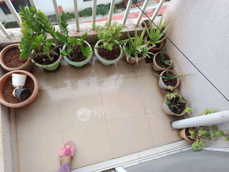 1 BHK Flat In Laxmi Bappa for Rent  In Laxmi Bappa