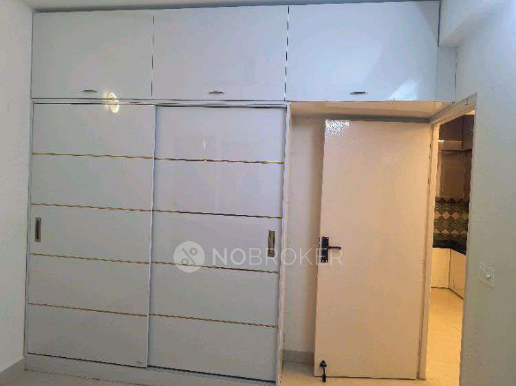 2 BHK Flat In Signature Global Millenia-3  for Rent  In Signature Global Millennia3 Sector 37d Gurgaon