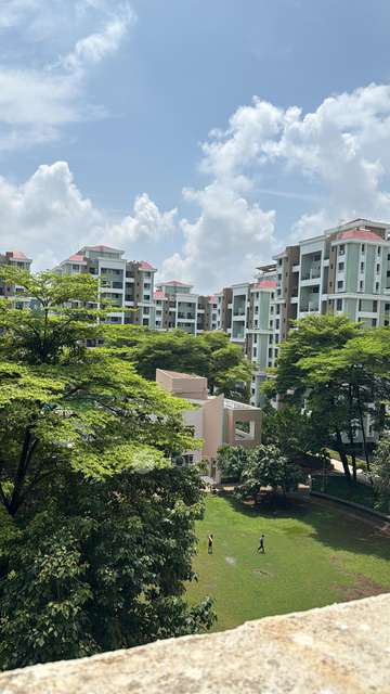 Single Room for Female In 2 BHK  In Iris In Magarpatta City Iris