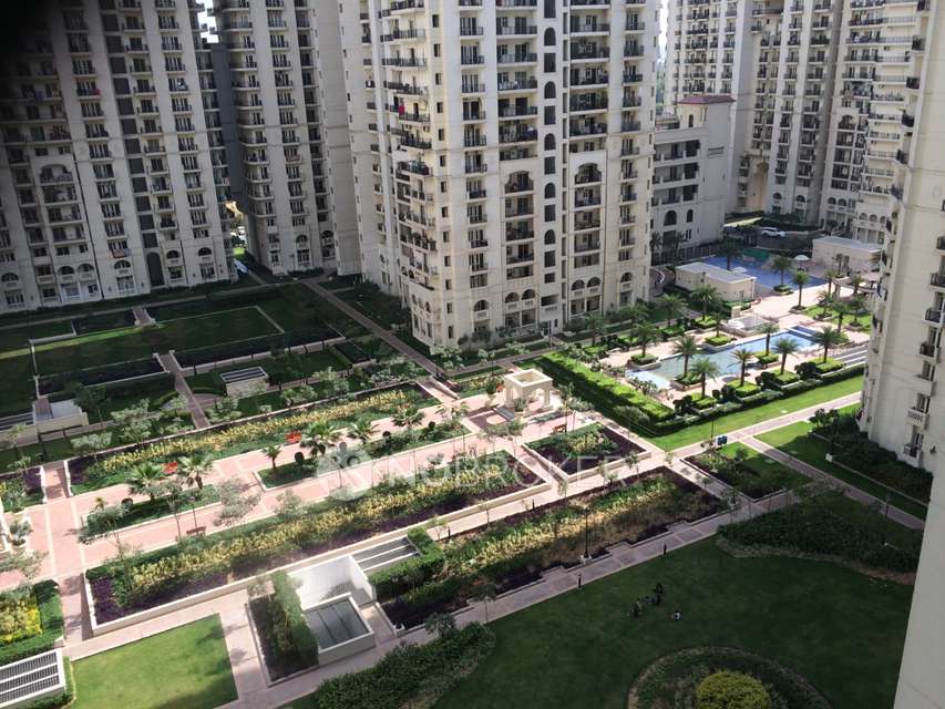 1 BHK Flat In Dlf Csp Moti Nagar for Rent  In Moti Nagar, Kirti Nagar