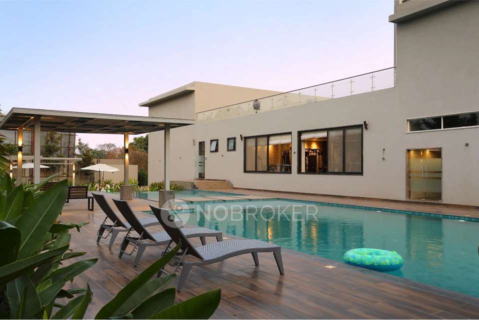 3 BHK Flat In Bhandari 32 Pinewood Drive, Hinjewadi for Rent  In Hinjewadi