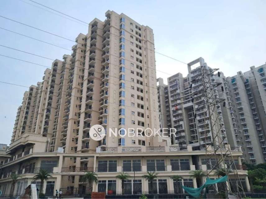 2 BHK Flat In Signature Global Millennia 3 for Rent  In Sector 37d