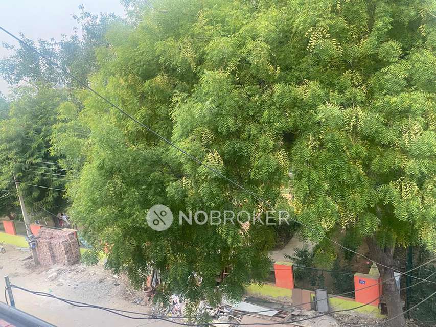 4+ BHK Flat For Sale  In Sector 22b