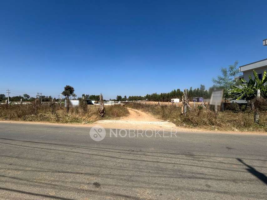 Godown/Warehouse in Nellukunte, Bangalore for Rent 