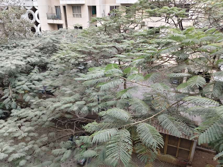 2 BHK Flat In Vascon Xotech for Rent  In Hinjawadi