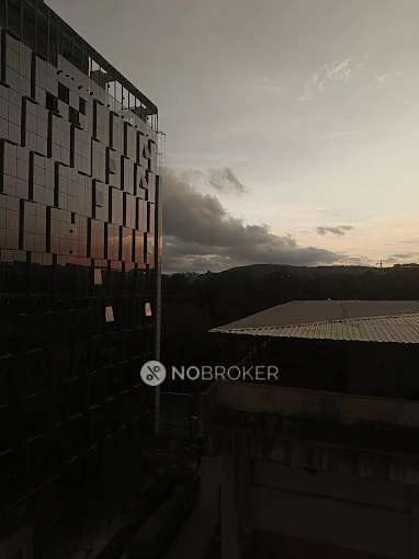 Shared Room for Female In 1 BHK  In Naman Sudarshan B In Shivaji Nagar