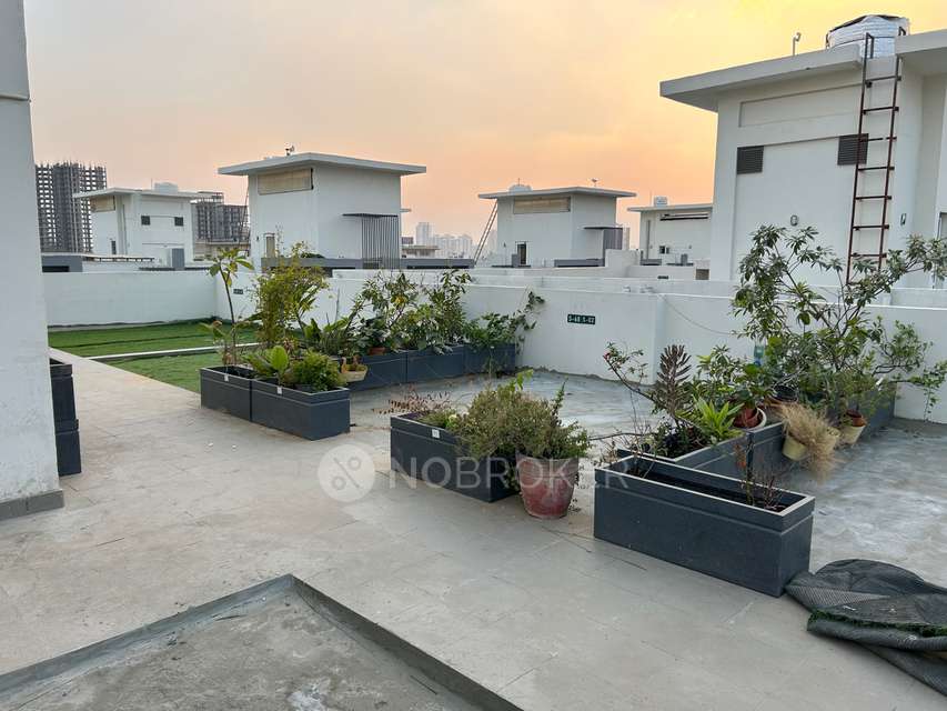 3 BHK Flat In M3m Solitude for Rent  In Sector 89