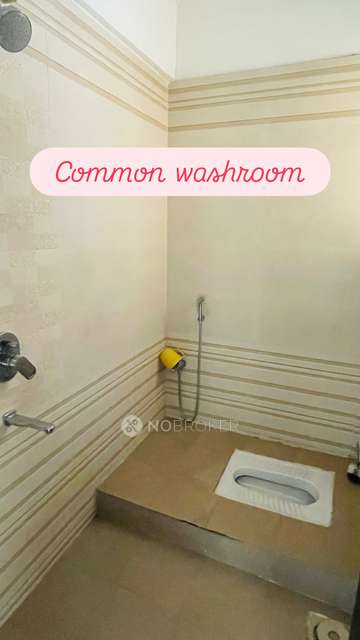 2 BHK Flat In Gk Rose Aster for Rent  In Punawale