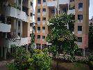 1 BHK Flat In Silver Park Phase 1 for Rent  In Ambegaon Pathar