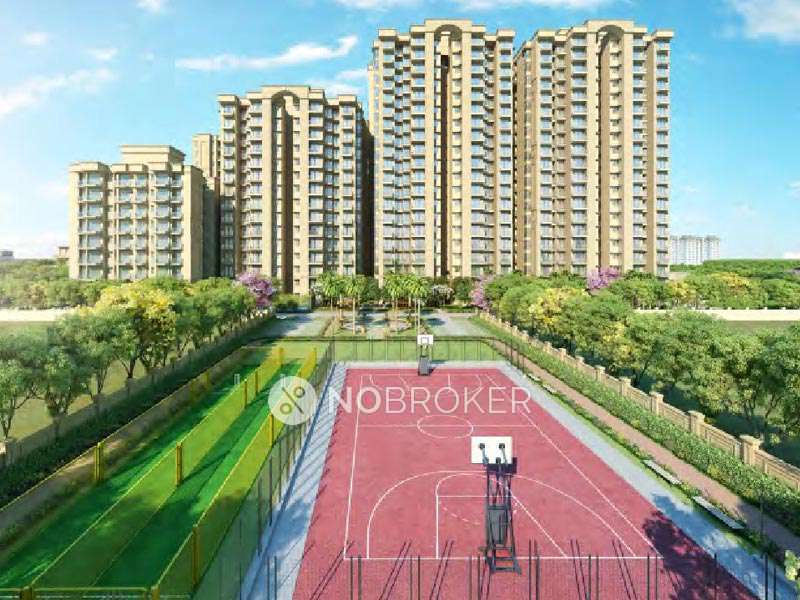 3 BHK Flat In Signature Global, Golf Greens for Rent  In Sector 79
