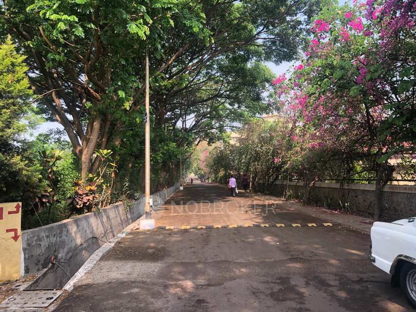 3 BHK Flat In Tucker Awho Enclave for Rent  In Hadapsar