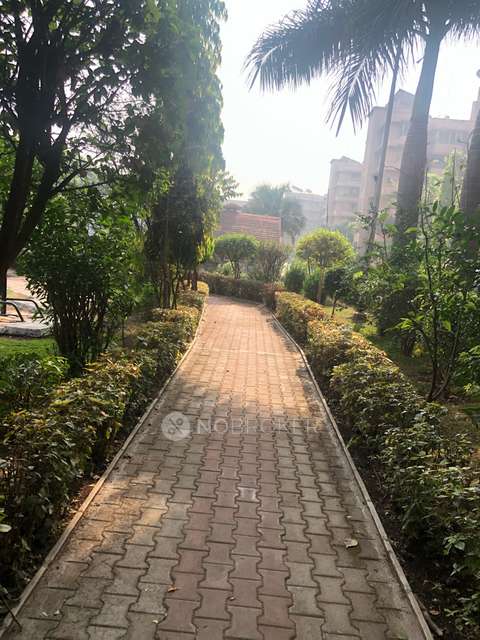 3 BHK Flat In Tucker Awho Enclave for Rent  In Hadapsar