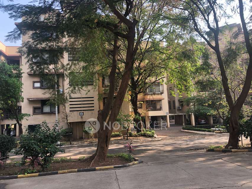 3 BHK Flat In Tucker Awho Enclave for Rent  In Hadapsar
