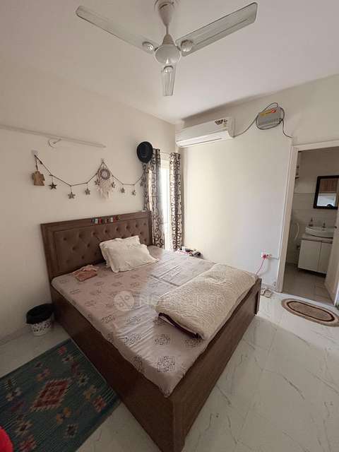 Single Room for Female In 2 BHK  In Pivotal Paradise In Sector 62