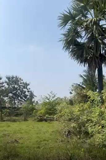 Godown/Warehouse in Thandalam, Chennai for Rent 