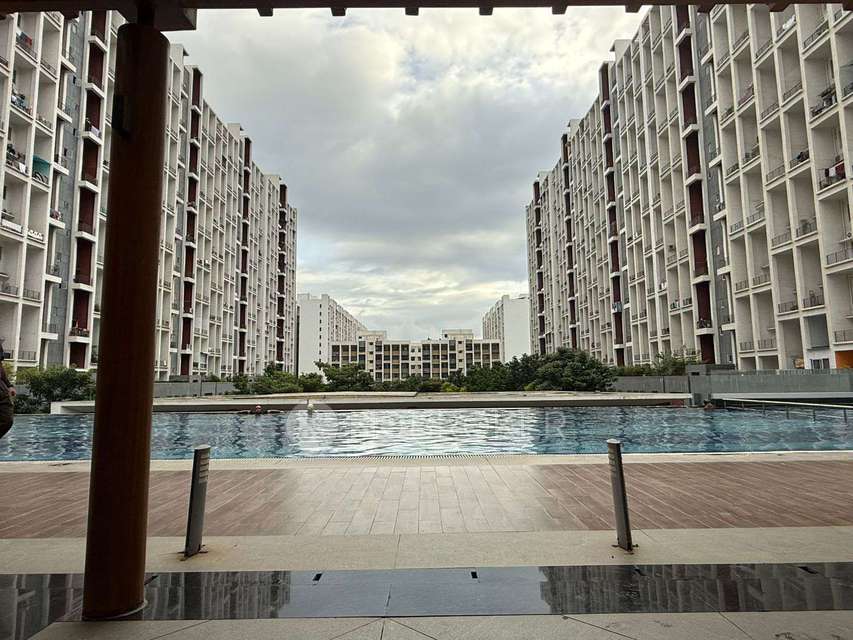 Shared Room for Male In 2 BHK  In Godrej 24 In  Hinjawadi