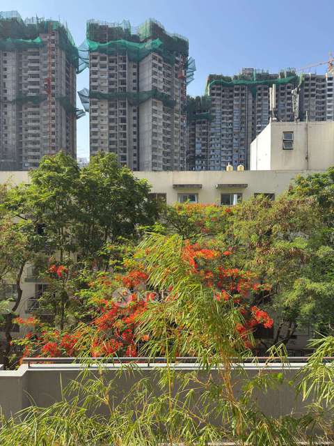 Shared Room for Male In 2 BHK  In Godrej 24 In  Hinjawadi