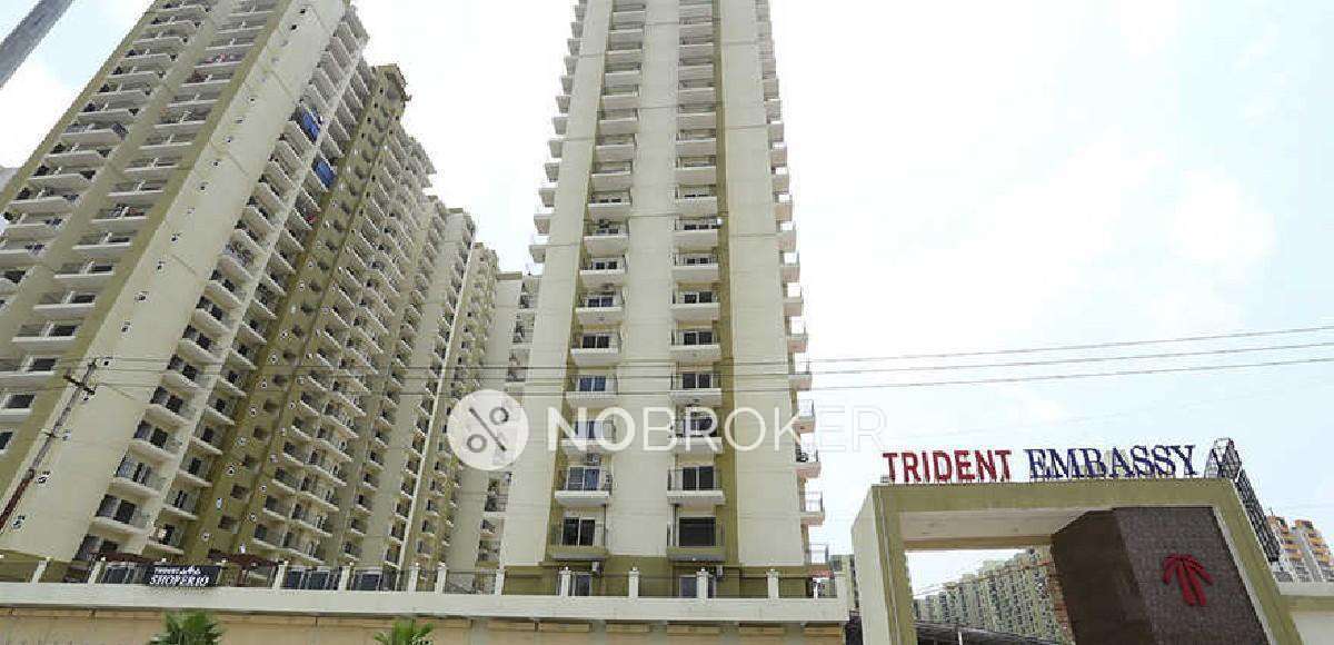 3 BHK Flat In Trident Embassy For Sale  In  Bisrakh Jalalpur