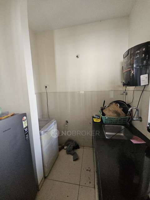 2 BHK Flat In Megapolis Symphony for Rent  In  Hinjewadi