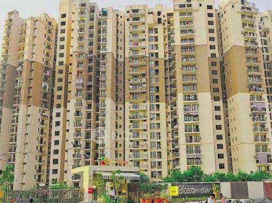 3 BHK Flat In Logix Blossom County For Sale  In Sector 137