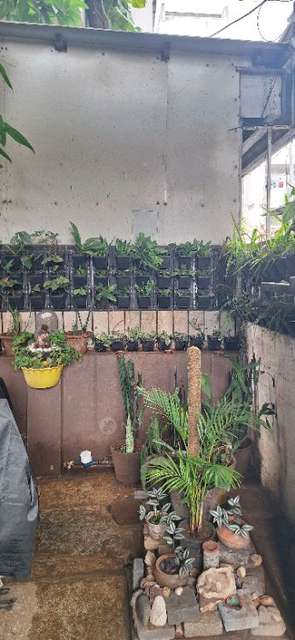 3 BHK House for Rent  In Akurdi Railway Station