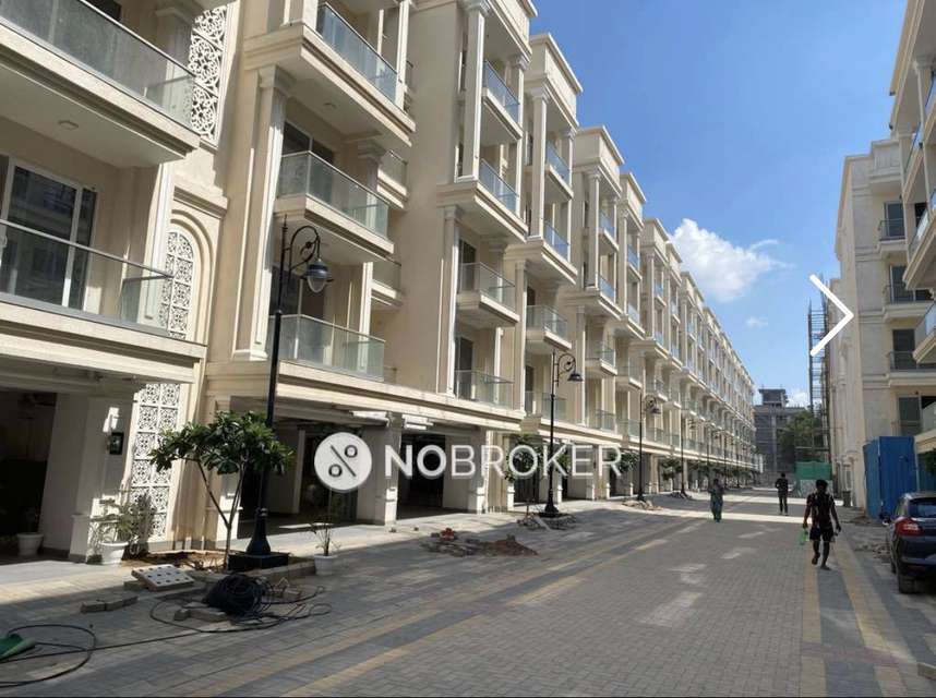 2 BHK Flat In Signature Global City 37d, Sector 37d for Rent  In Sector 37d