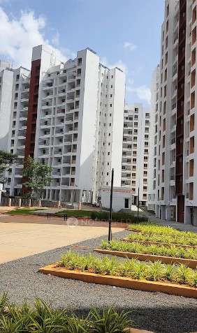 1 BHK Flat In Happiness Hub For Sale  In  Khed Shivapur