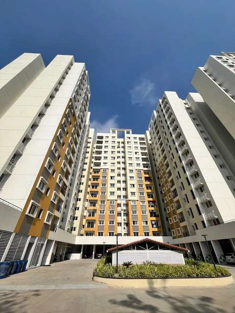 Shared Room for Male In 1 BHK In Sattva Misty Charm In Mallasandra