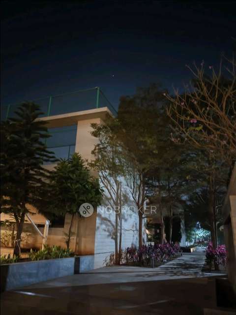 2 BHK Flat In 32 Pinewood Drive , Hinjewadi Phase 3 for Rent  In 32 Pinewood Drive