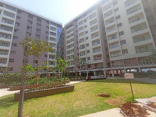 3 BHK Flat In Kohinoor Viva City for Rent  In Dhanori