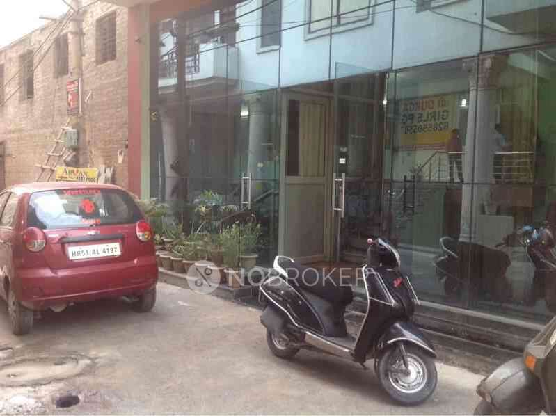 PG for Anyone in Sector 38