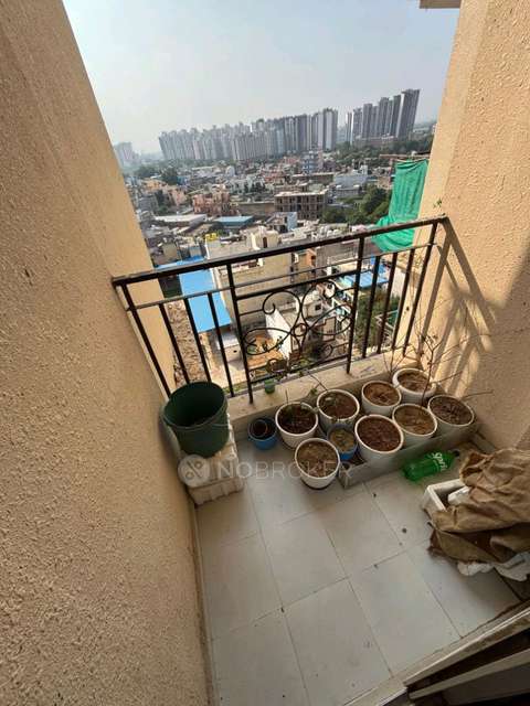 2 BHK Flat In Signature Global The Millennia Phase 2 for Rent  In Sector 37d