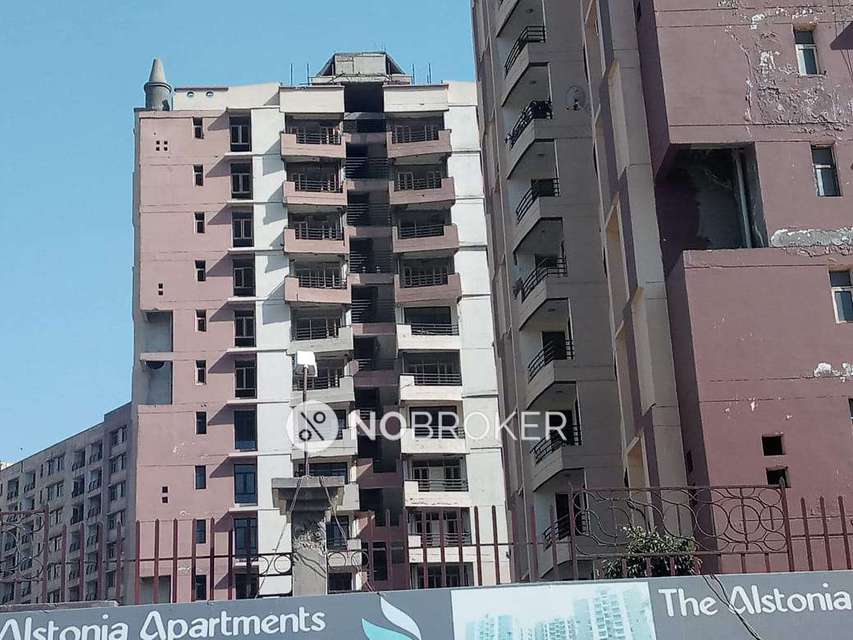 Single Room for Male In 3 BHK  In The Alstonia Apartment In  Pi I & Ii