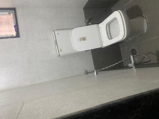 2 BHK Flat In Silver String for Rent  In Pimpri-chinchwad,