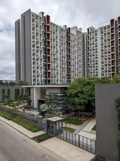 Single Room for Male In 2 BHK  In Godrej 24, Pune In Hinjewadi