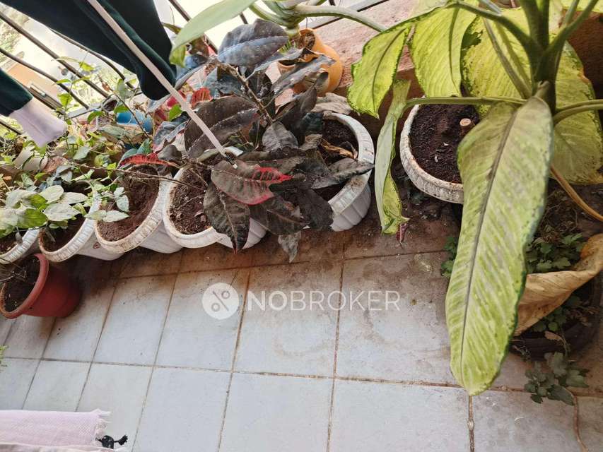 2 BHK Flat In Kul Ecoloch For Sale  In Mahalunge